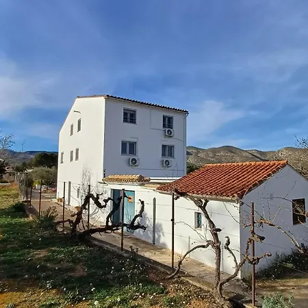 ベッド・アンド・ブレックファスト Casa Vitalidad