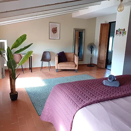 Bed & Breakfast Casa Vitalidad Ontinyent
