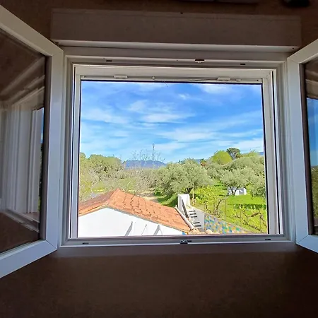 Bed & Breakfast Casa Vitalidad