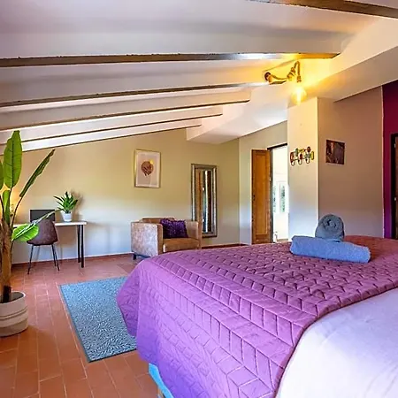 Casa Vitalidad