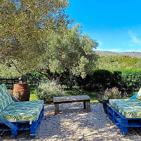 Casa Vitalidad Oda ve Kahvaltı